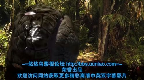 巨蟒大战恐鳄