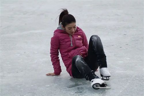 倔强萝卜