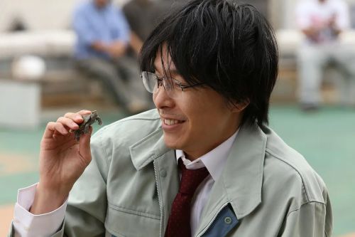 爱与和平