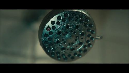 租房惊魂