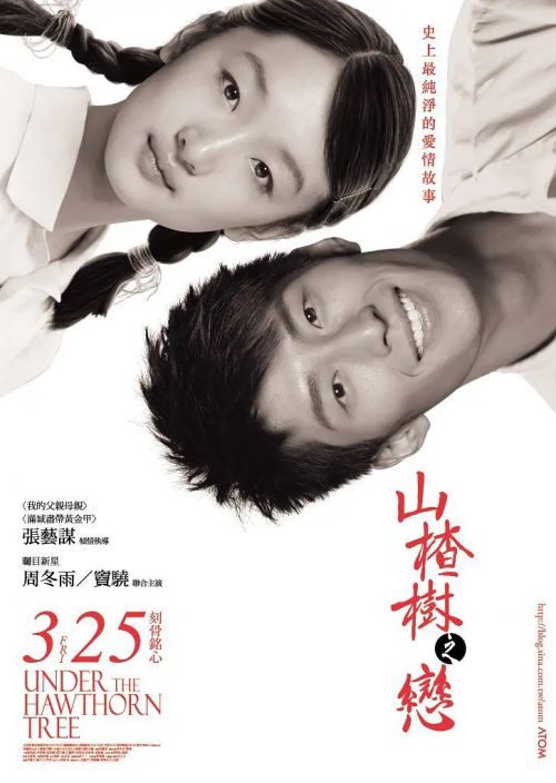 山楂树之恋