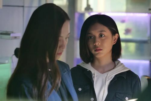 迷罪追凶