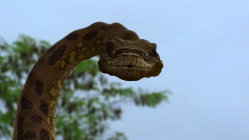 狂蟒之灾4