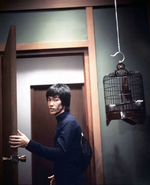 龙争虎斗