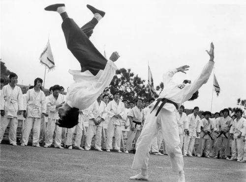 龙争虎斗