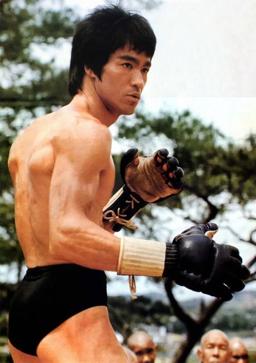 龙争虎斗