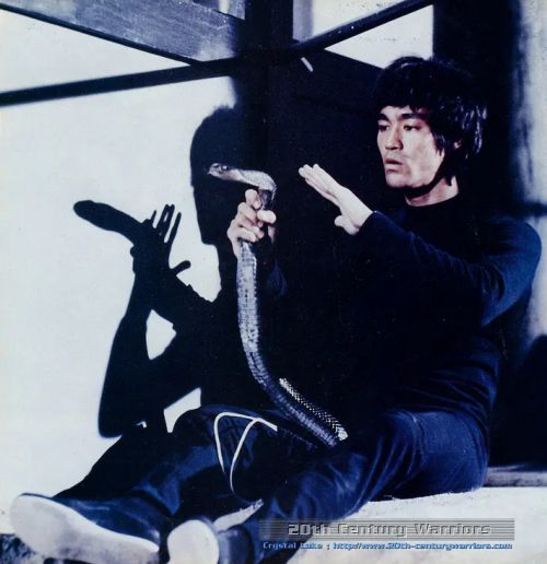 龙争虎斗