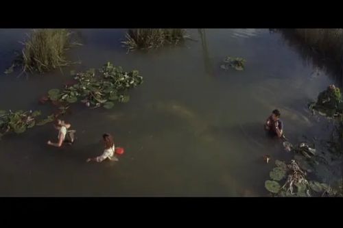 狂蟒之灾2