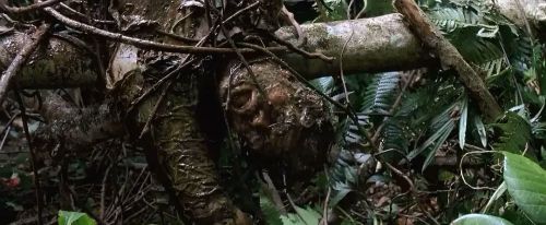 狂蟒之灾2