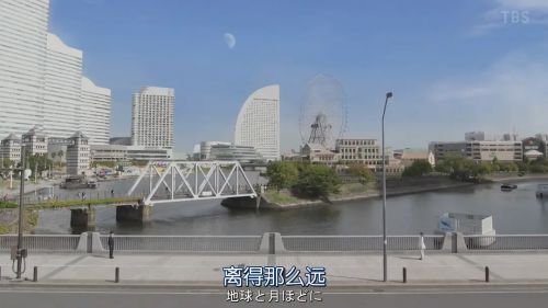 逃避虽可耻但有用 新春特别篇 