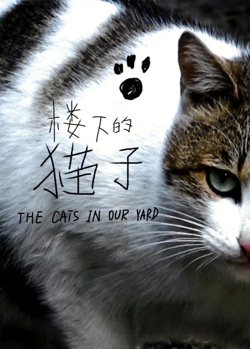 楼下的猫子