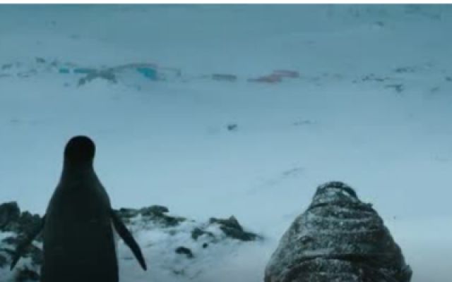  南极之恋：吴富春跟着企鹅的脚步向前爬