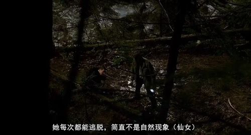 购物惊魂记