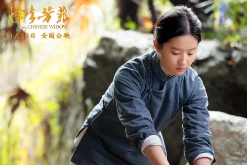 烽火芳菲
