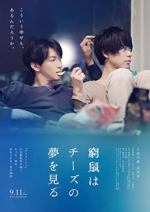 穷途鼠的奶酪梦