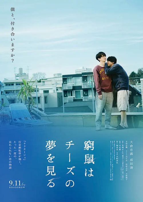穷途鼠的奶酪梦