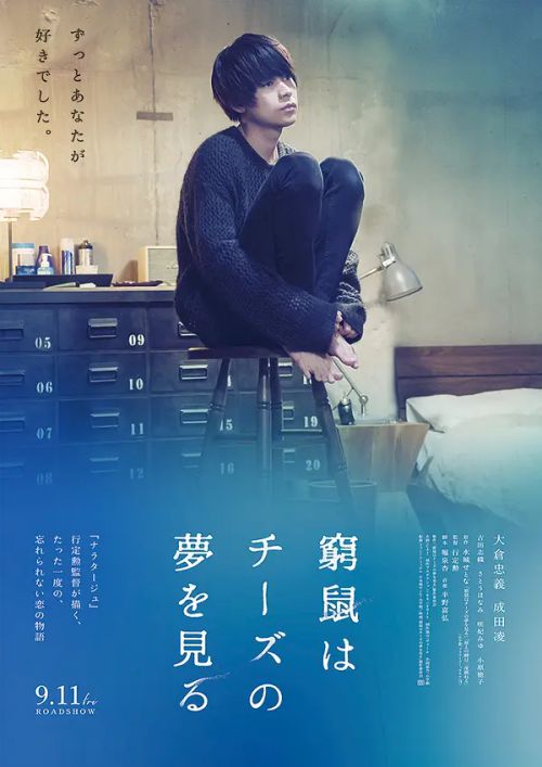 穷途鼠的奶酪梦