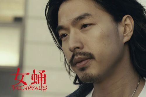 女蛹