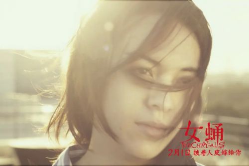 女蛹