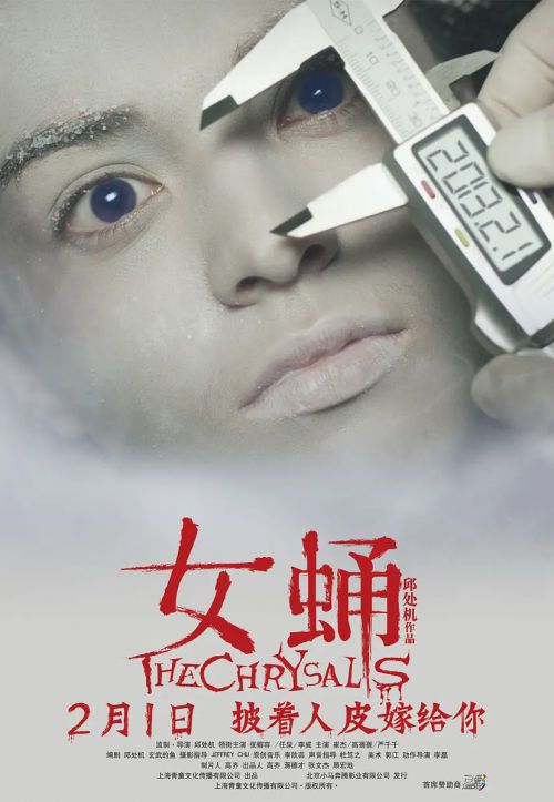 女蛹