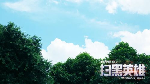 扫黑英雄