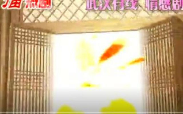 不朽的名作宣传片