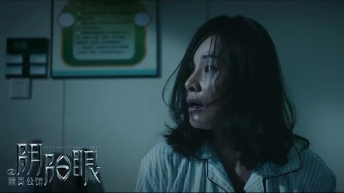 阴阳眼之瞳灵公馆