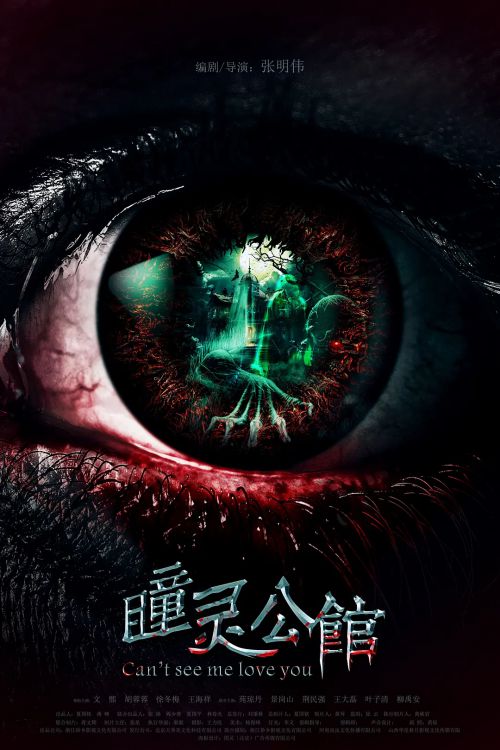 阴阳眼之瞳灵公馆