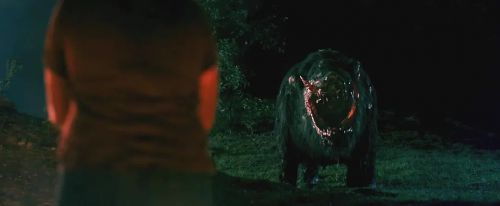 野猪