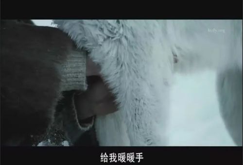 狼