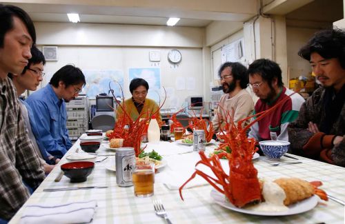 南极料理人
