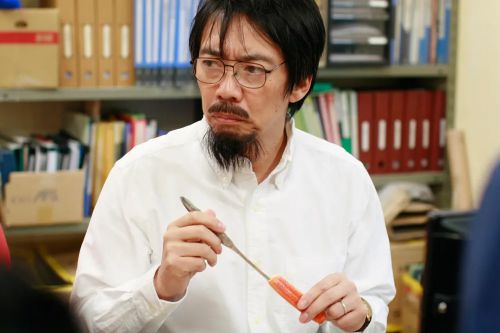 南极料理人
