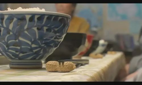 南极料理人