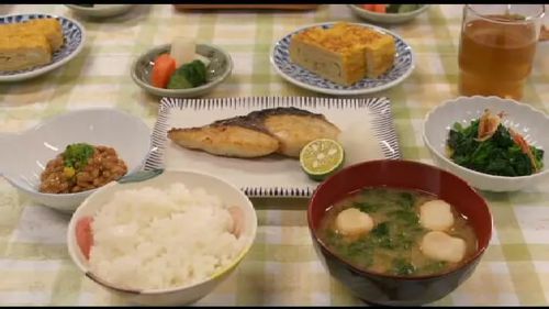 南极料理人