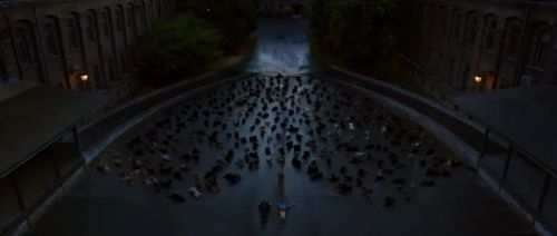 白色上帝
