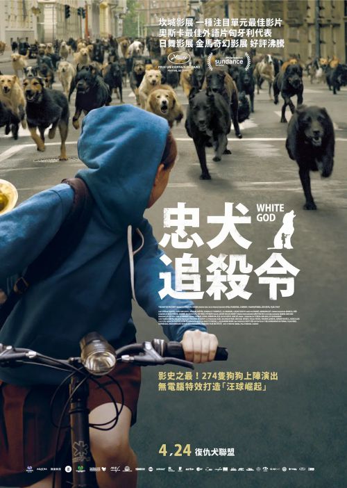 白色上帝