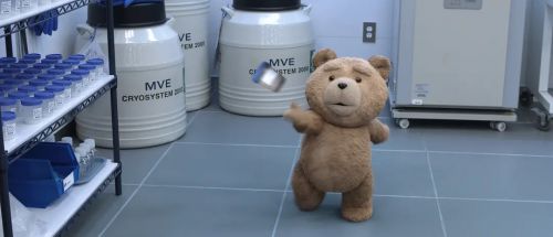 泰迪熊2