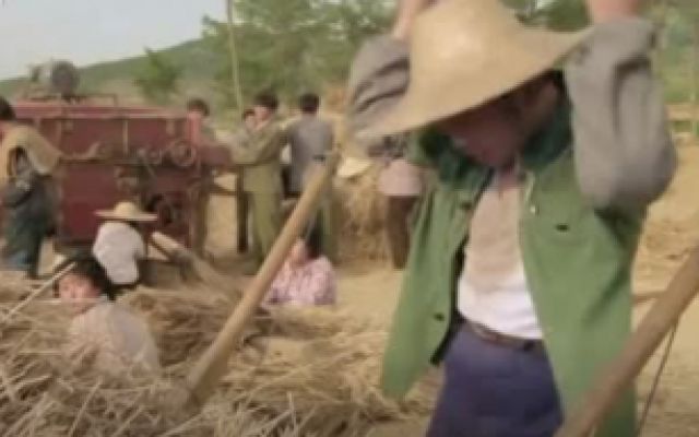 老电影《咱们的牛百岁》：一部反映农村变迁的经典喜剧，值得怀念