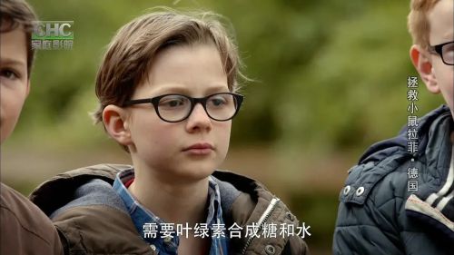 拯救拉斐