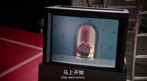 拯救拉斐