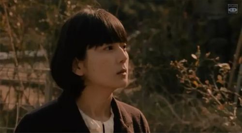 美好条纹