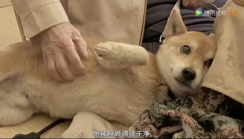 为你取名的那一天