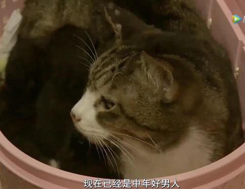为你取名的那一天