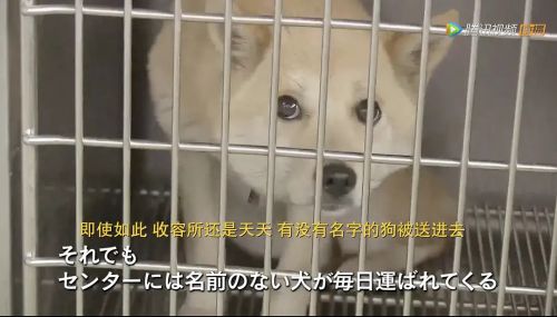 为你取名的那一天