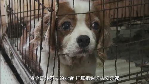 为你取名的那一天