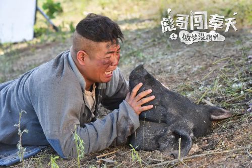 彪哥闯奉天之做梦没想到