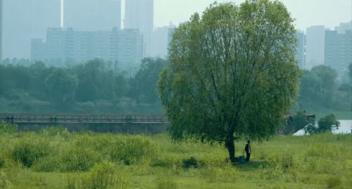 睡沙发的人