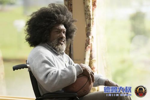 德鲁大叔