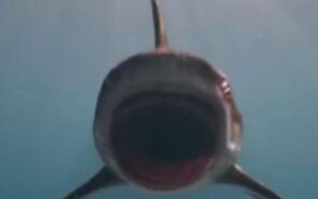 《深海狂鲨3》电影解说