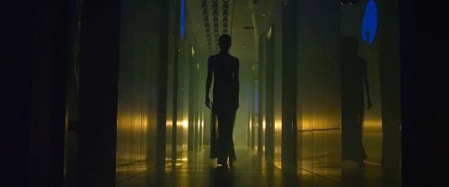 屠夫小姐